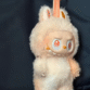 xbsdn.png